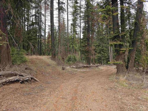 1709 W Mountain Rd, Donnelly, ID, 83615-7709 | Card Image