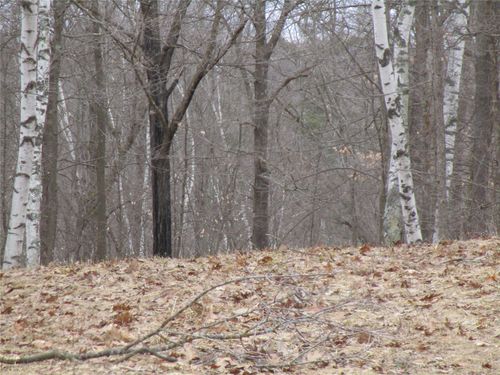 000 Camp Rd, Weyerhaeuser, WI, 54895 | Card Image