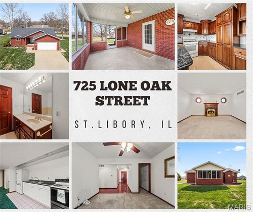 725 Lone Oak St, Saint Libory, IL, 62282-0326 | Card Image