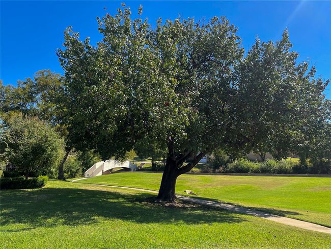 Bridge access to Las Colinas Country Club golf course | Image 29