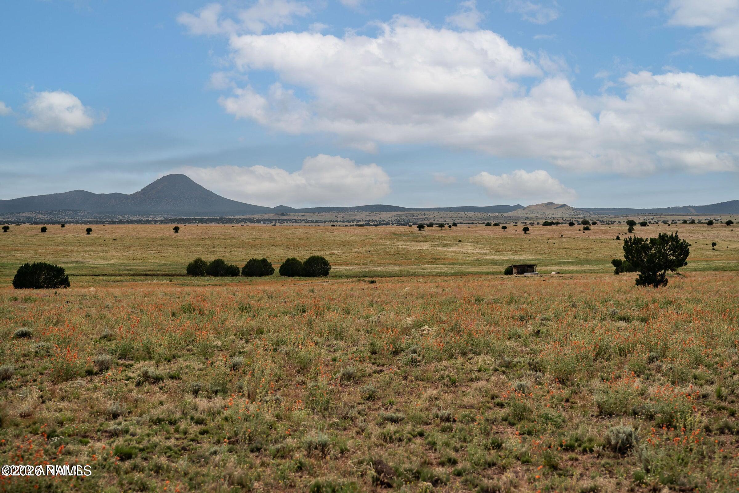 Land in Ash Fork