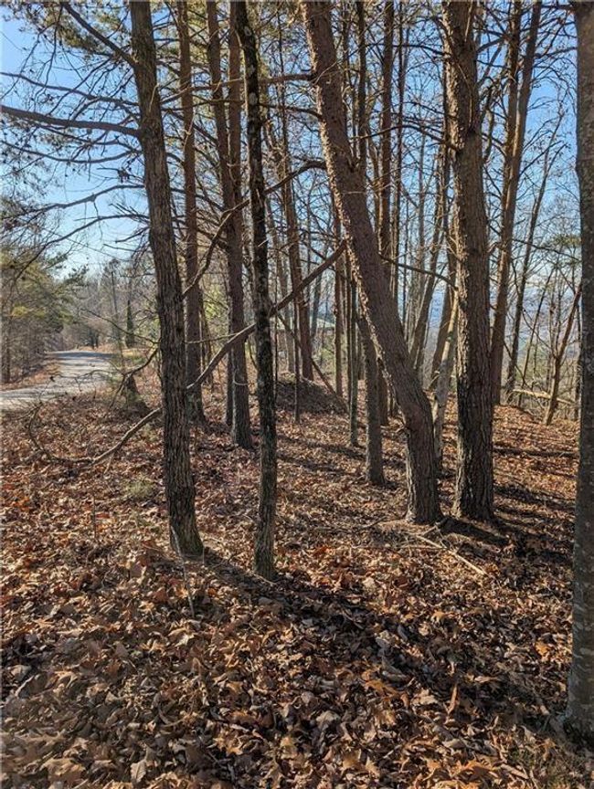 234 Stirratt Rd, Home with 0 bedrooms, 0 bathrooms and null parking in Ranger GA | Image 7