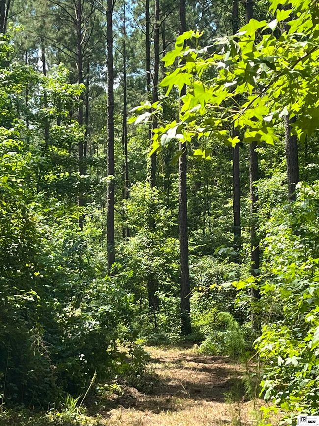 000 Highway 146, Home with 0 bedrooms, 0 bathrooms and null parking in Ruston LA | Image 15