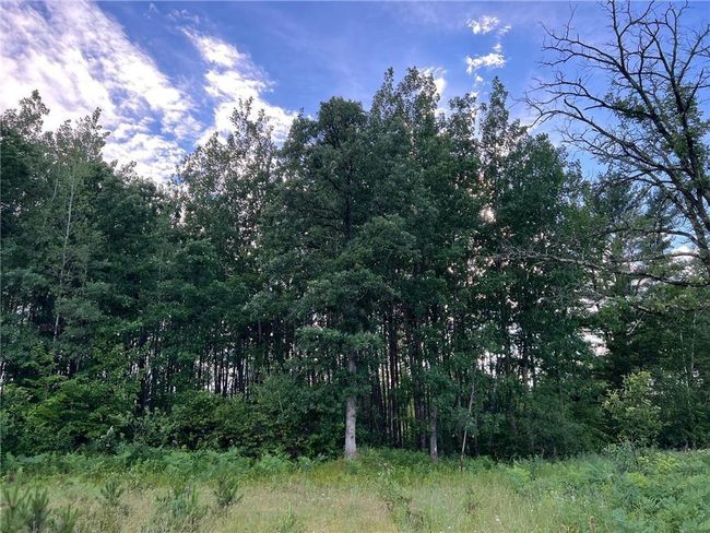 W39XX Frog Creek Rd, Home with 0 bedrooms, 0 bathrooms and null parking in MINONG WI | Image 11