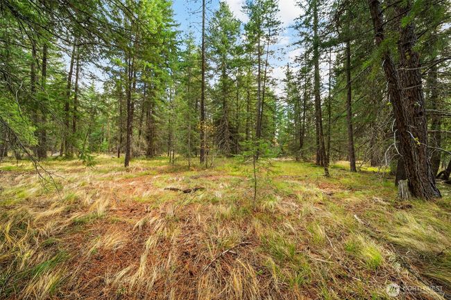 0 S Shugart Flats Rd, Home with 0 bedrooms, 0 bathrooms and null parking in Leavenworth WA | Image 38
