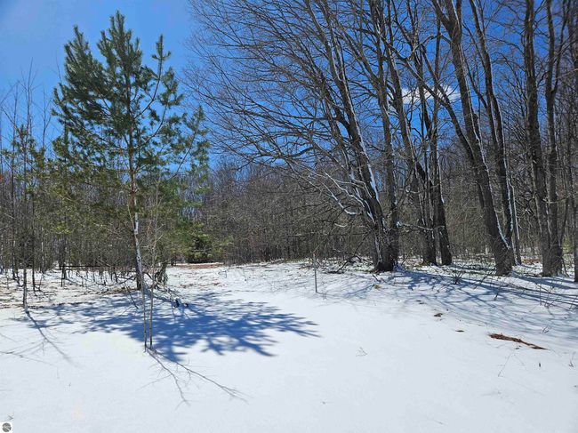 0000 V/L "C" Grass Lake Road, Home with 0 bedrooms, 0 bathrooms and null parking in Kalkaska MI | Image 4