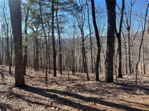 47 Bell Flower Dr, Big Canoe, GA, 30143 | Card Image