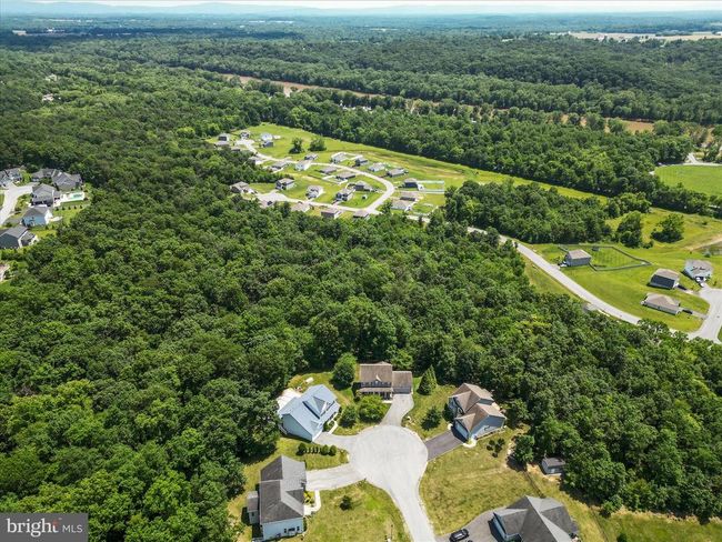 48 Patapsco Cir, House other with 5 bedrooms, 4 bathrooms and null parking in FALLING WATERS WV | Image 43