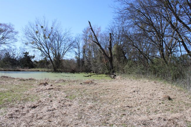 8738 Us Highway 67, Home with 0 bedrooms, 0 bathrooms and null parking in Saltillo TX | Image 4