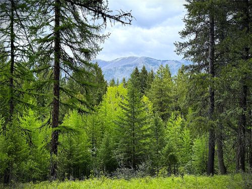 NHN Lagoon Drive, Trego, MT, 59934 | Card Image