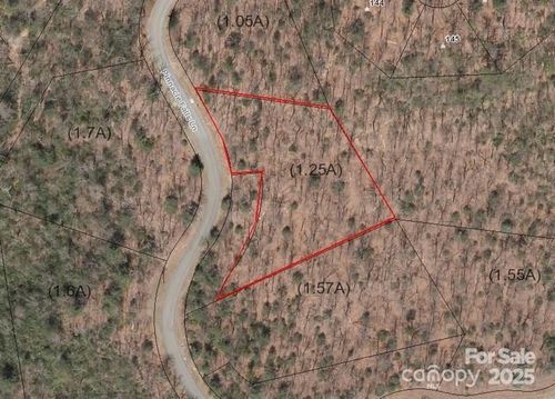 23-0 Pinnacle Falls Ln, Zirconia, NC, 28790 | Card Image