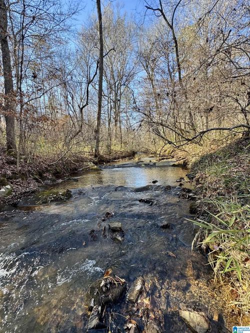 41-acres- County Road 415, Newell, AL, 36280 | Card Image