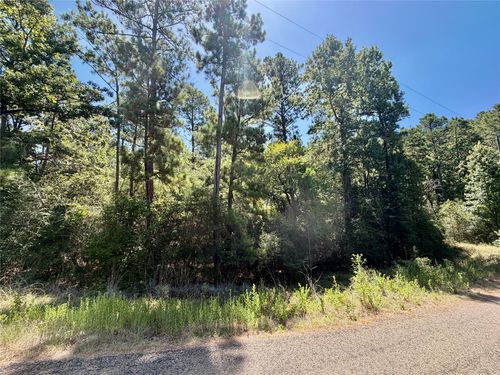 TBD Lori Drive, Trinity, TX, 75862 | Card Image