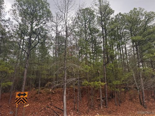 0 Flat Rock Rd, Tallassee, AL, 36078 | Card Image