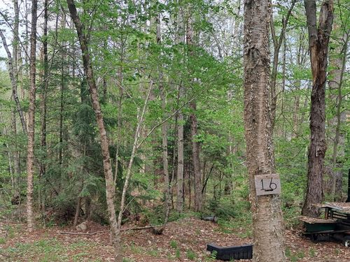 16 Aspen Lane, Danbury, NH, 03230 | Card Image