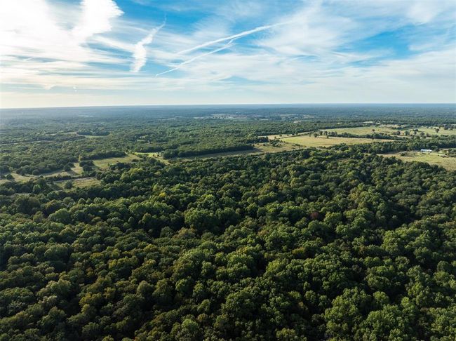 Drone / aerial view with a wooded view | Image 22