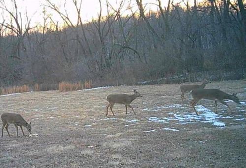 20401 E Bundschu Rd, Independence, MO, 64056 | Card Image