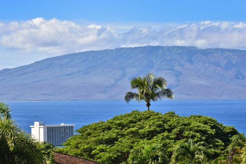 3903-50 Puu Anoano St, Lahaina, HI, 96761-1967 | Card Image