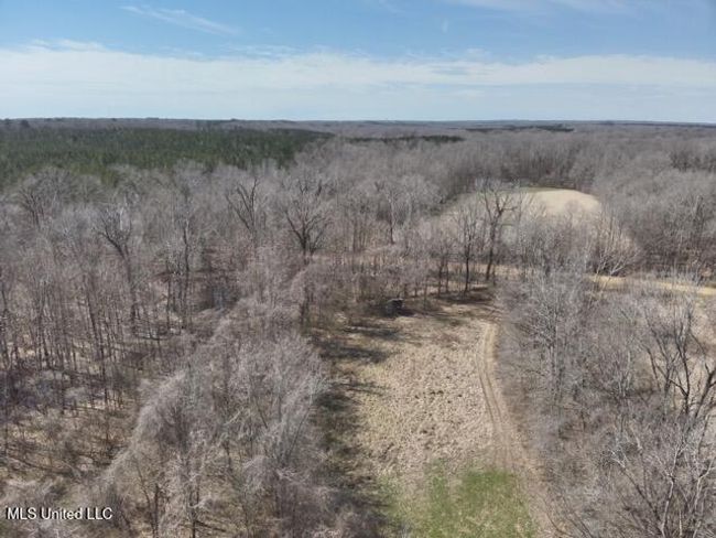 DJI_20250303113354_0015_V Medium | Image 11