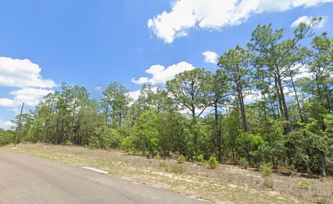 Land in CITRUS SPRINGS 2