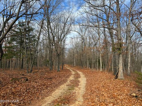 000 Lawrence 1187, Ash Grove, MO, 65604 | Card Image