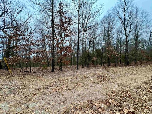 TBD Pilgrim Holow Trail, Mountain Home, AR, 72653 | Card Image