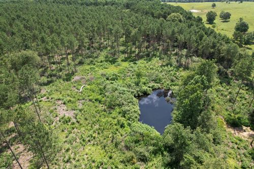 TBD County Road 3706, Tenaha, TX, 75974 | Card Image