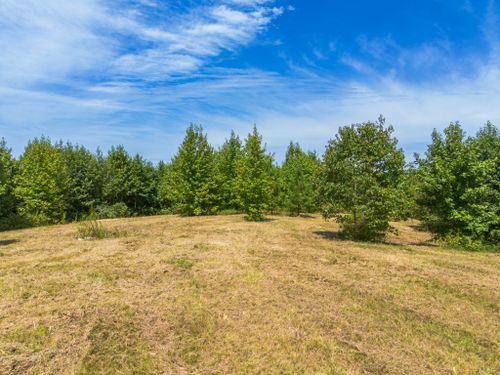 0 State Line Rd, Saint Joseph, TN, 38481 | Card Image