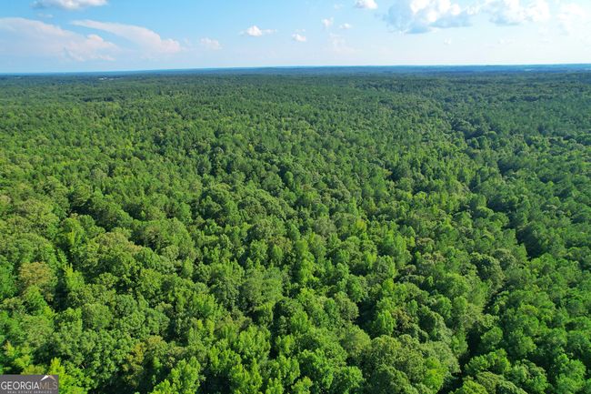 198.62+/- ACRES Apalachee Woods Trl, Home with 0 bedrooms, 0 bathrooms and null parking in Buckhead GA | Image 6