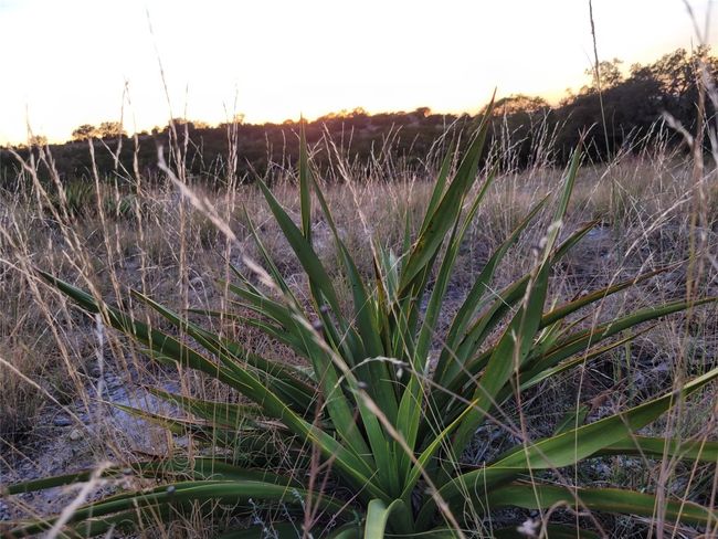 View of nature | Image 19