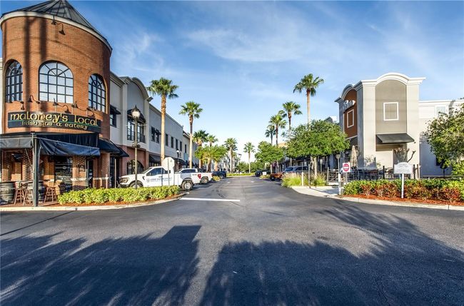 10520 - 10520 White Lake Ct, Condo with 2 bedrooms, 2 bathrooms and null parking in TAMPA FL | Image 34