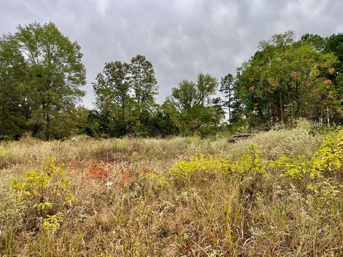 TBD Pine Wilderness Dr, Queen City, TX, 75572 | Card Image