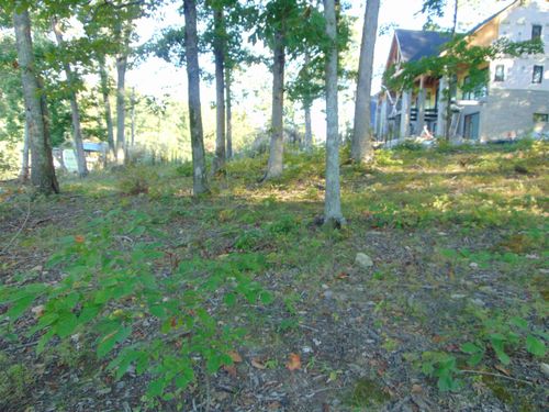 019 Lingerlost Rd, Killen, AL, 35645-8512 | Card Image