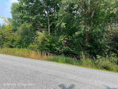 0 Townline Rd, Birch Run, MI, 48415 | Card Image