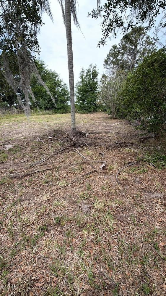Land in BUSHNELL 5