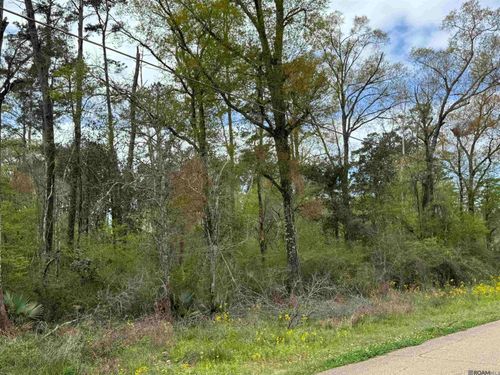 TBD Vincent Place Ave, Denham Springs, LA, 70726 | Card Image