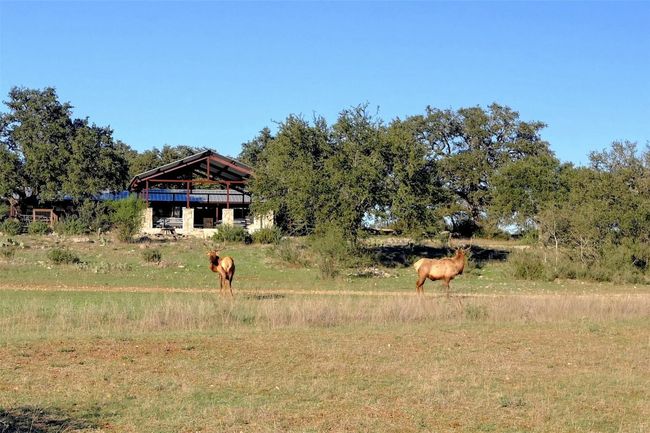 108 Oryx Cove, Home with 0 bedrooms, 0 bathrooms and null parking in Blanco TX | Image 21