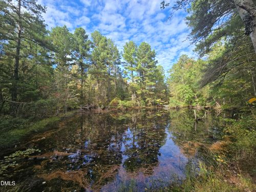 0 Bass Mountain, Snow Camp, NC, 27349 | Card Image