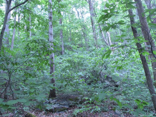 0 Vt Route 12 A, Home with 0 bedrooms, 0 bathrooms and null parking in Randolph VT | Image 7