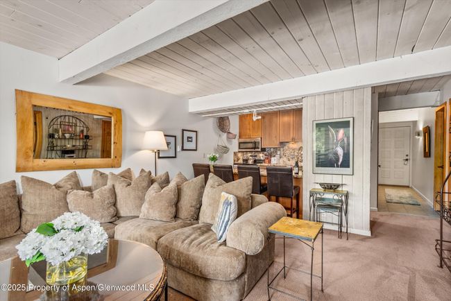 202 - 131 E Durant Ave, Condo with 2 bedrooms, 2 bathrooms and null parking in Aspen CO | Image 17