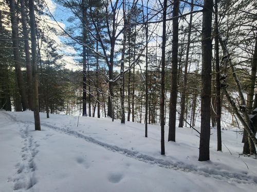 Lot 335 Ridgewood Dr, Hazelhurst, WI, 54531 | Card Image