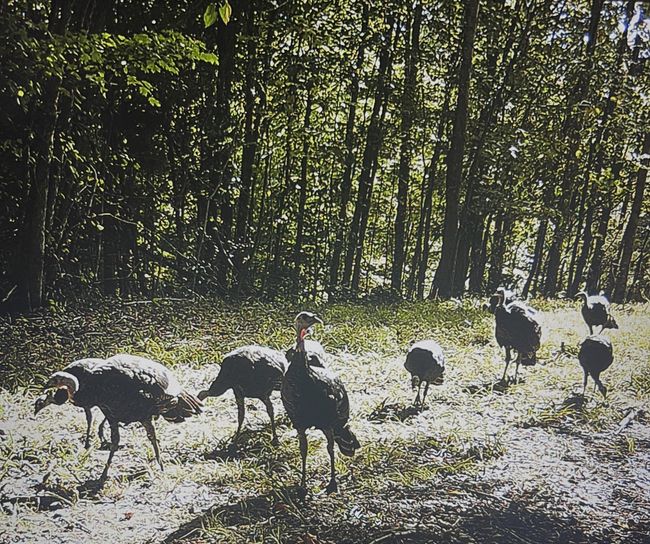From property cameras | Image 17