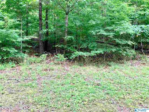 0.34 acres 34th St Ne, Fort Payne, AL, 35967 | Card Image