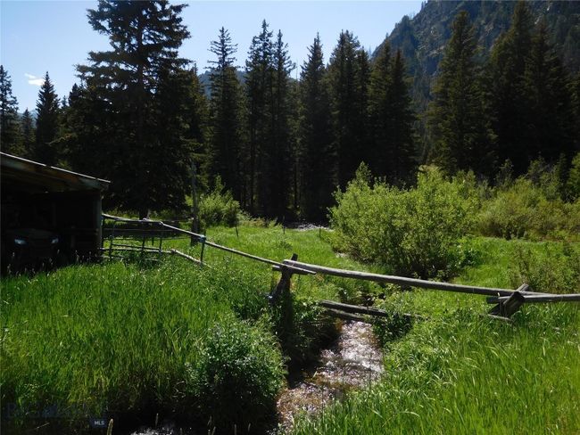 BEAR CREEK | Image 11