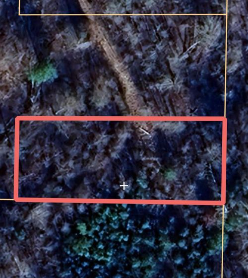 0 County Road 839, Higdon, AL, 35979 | Card Image