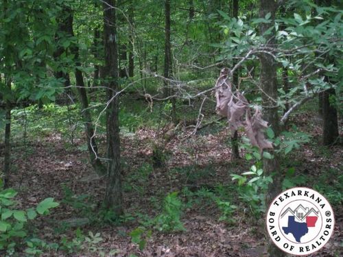 out of Area, Out of Area-Arkansas, AR, 71861 | Card Image