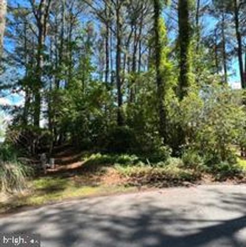 11043 Piney Island Dr, Bishopville, MD, 21813-1405 | Card Image