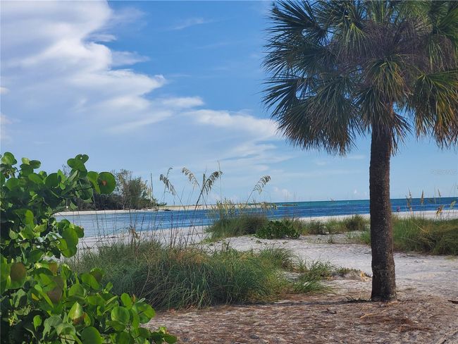 Longboat Key | Image 44