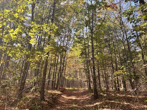 150 Bowden Point Road, Prospect, ME, 04981 | Card Image