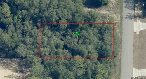 7064 N Ripley Drive, DUNNELLON, FL, 34433 | Card Image
